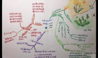 二年级上册语文试卷